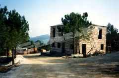 006_The_first_bulding_to_go_up