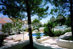 015_Pool_Area_1_year_after_build